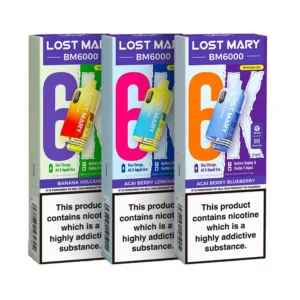 Lost Mary BM6000 Prefilled Pod Kit